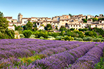 lubéron